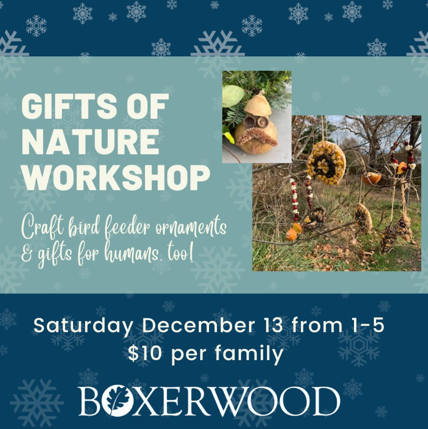 Gifts of Nature Workshop