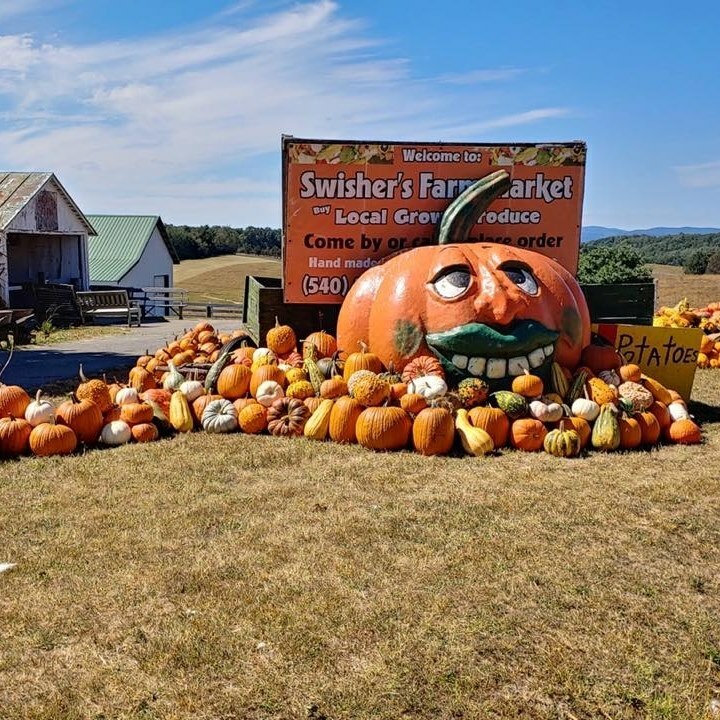 Swisher's Pumpkin Bonanza
