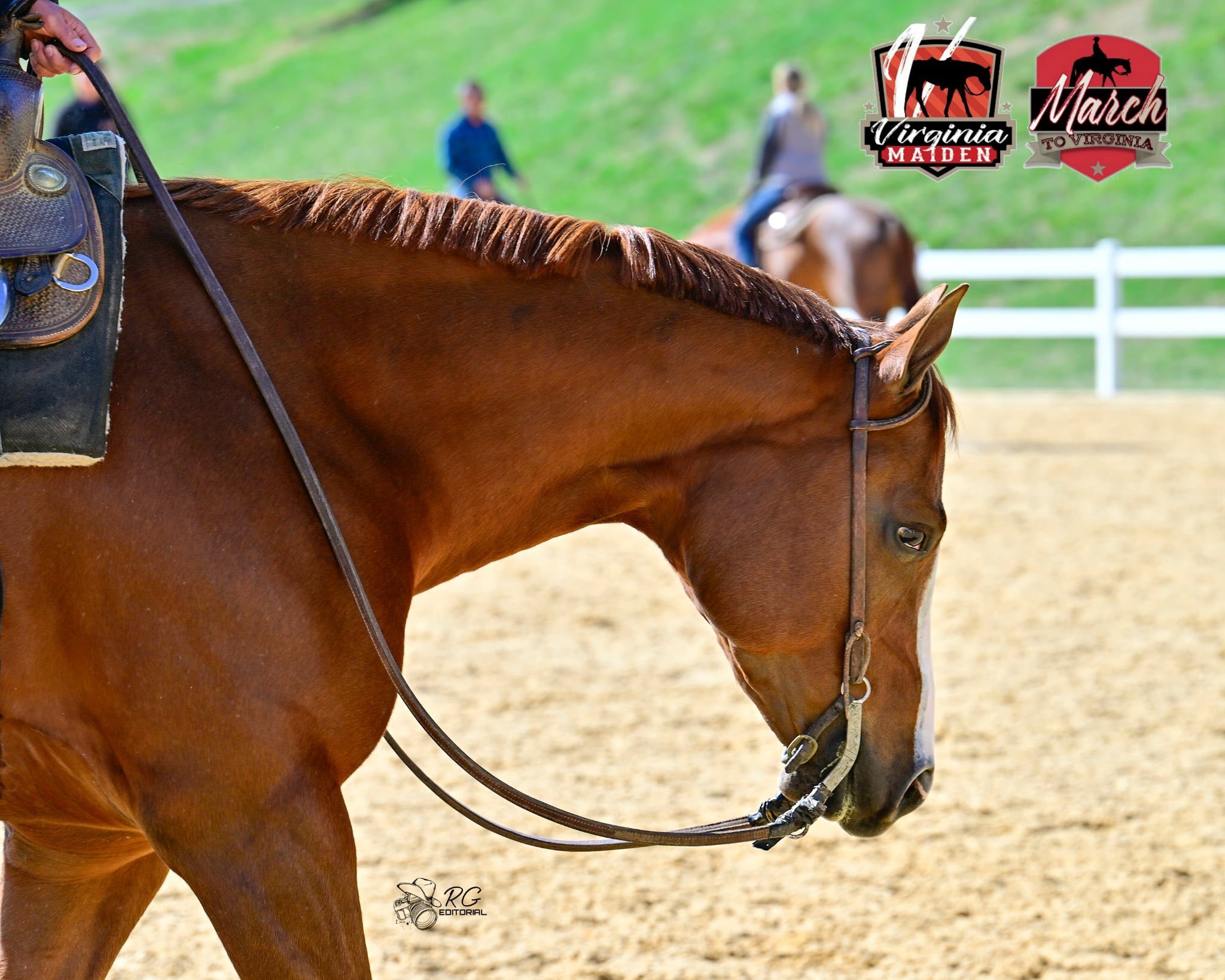 March to Virginia + The Virginia Maiden