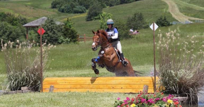 Trimble's Ridge Horse Show
