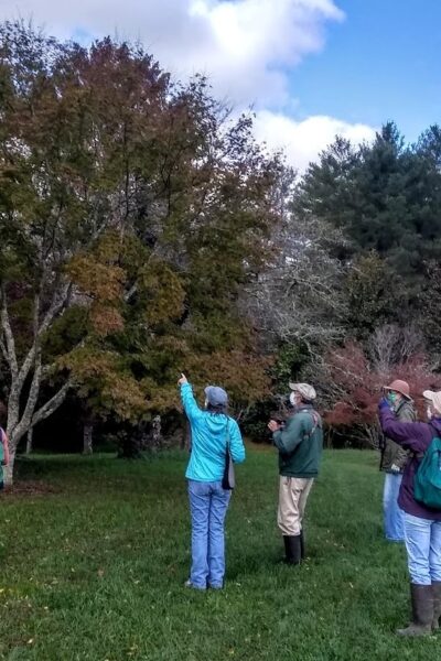 Birding at Boxerwood