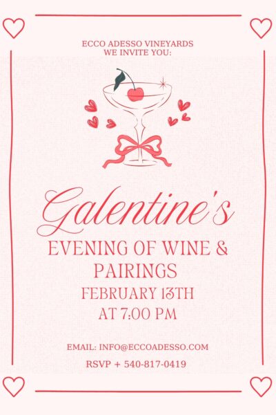 A Galentine's Evening of Wine & Pairings