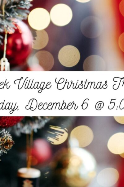 Christmas Tree Lighting - Village of Kerrs Creek