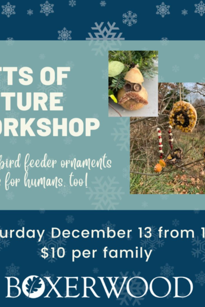 Gifts of Nature Workshop