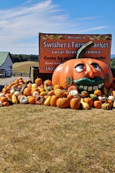 Swisher's Pumpkin Bonanza