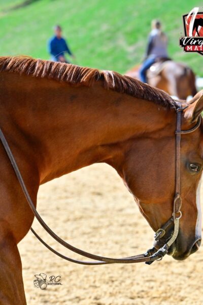 March to Virginia + The Virginia Maiden