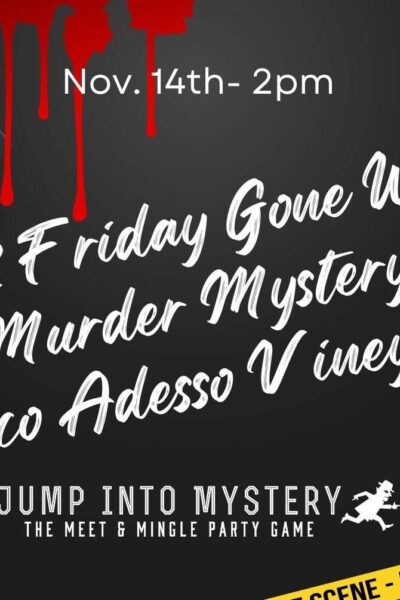 Black Friday gone Wrong! A Murder Mystery