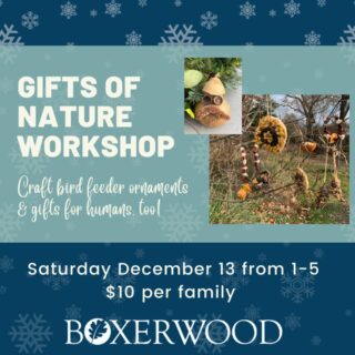Gifts of Nature Workshop