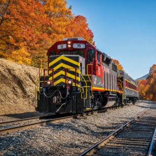 Autumn Special: Staunton Stop and Shop