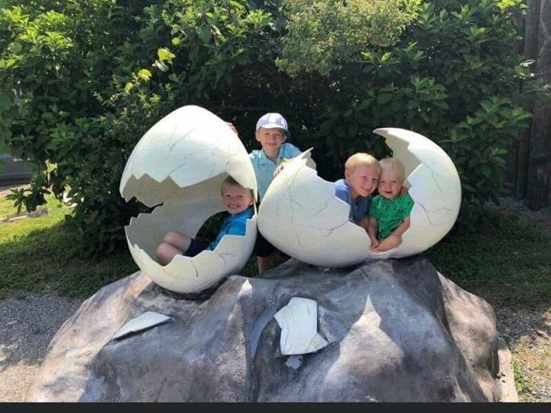 DKII Egg Kids