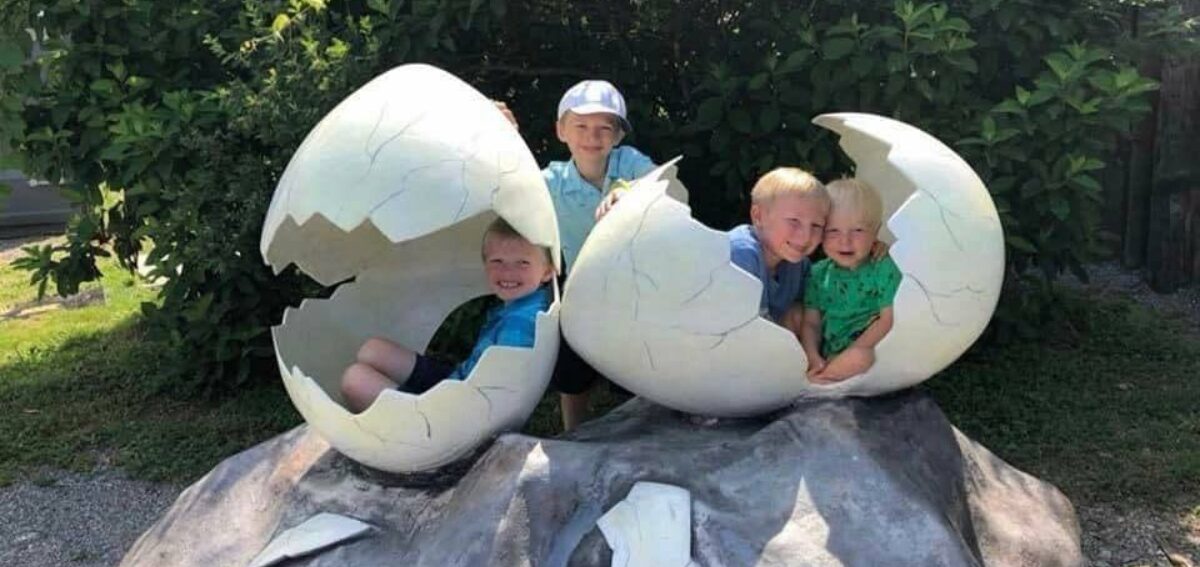DKII Egg Kids