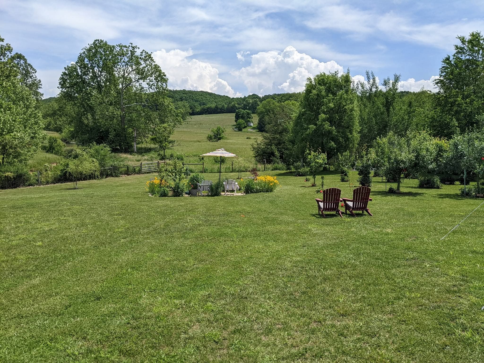Apple Tree Grafting Classes at Wilbourn House Orchard
