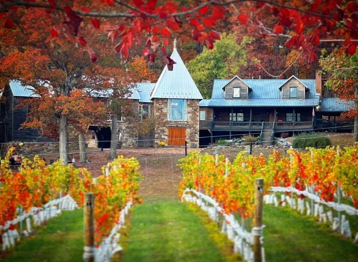 Sunset Fridays at the Vineyard: Pizza & Vino