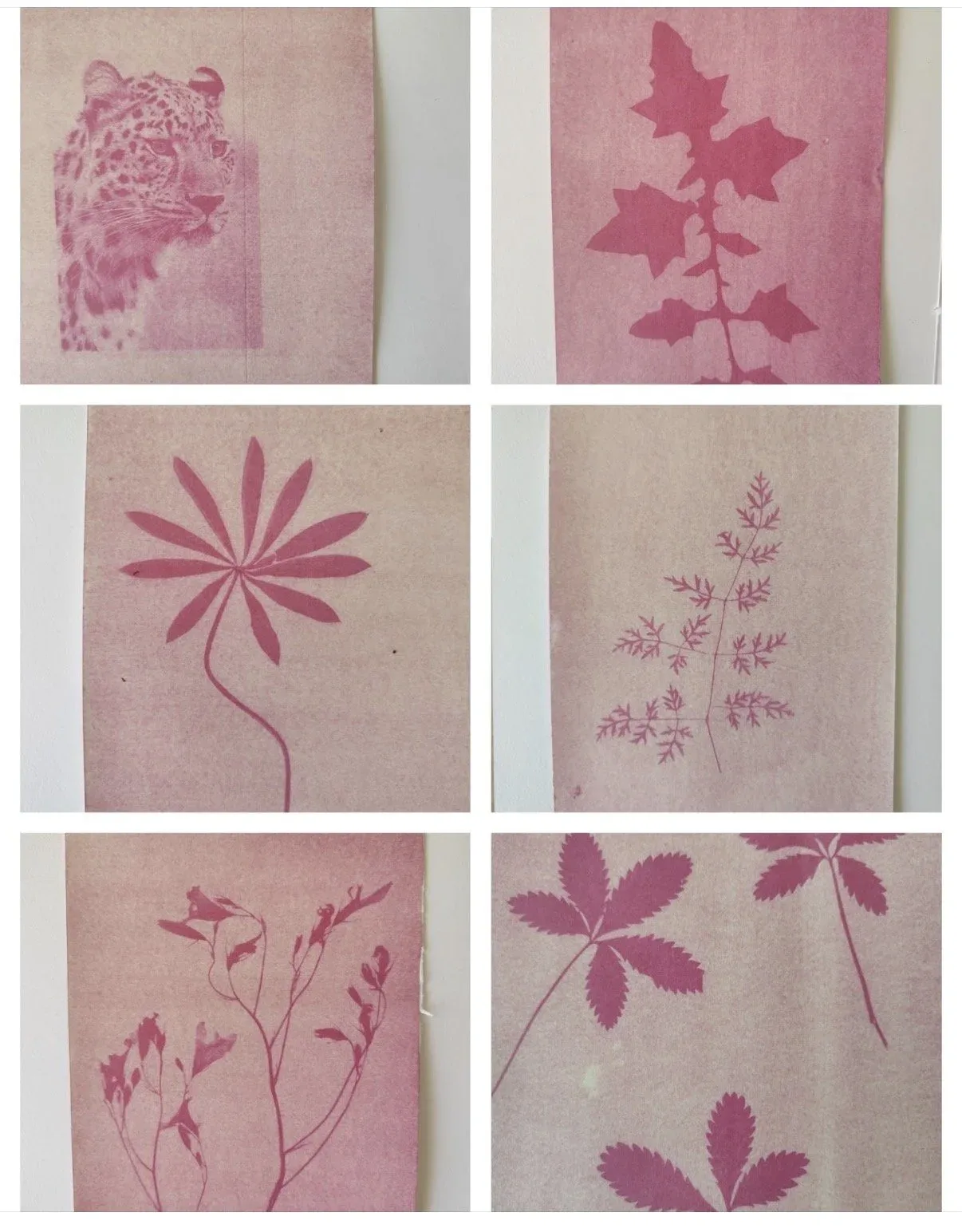 Alternative Processes Camp for Adults with Cary Oliva