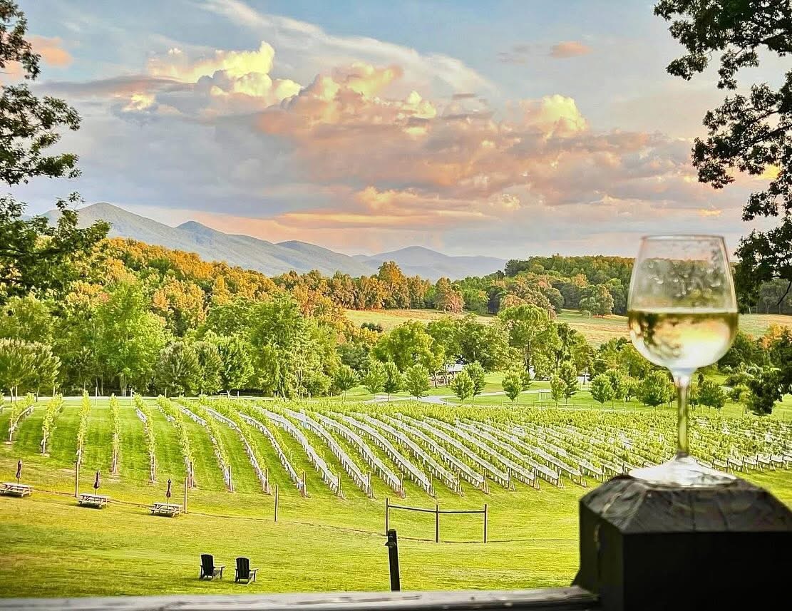 Live Music at the Vineyard: Jason Hostetter