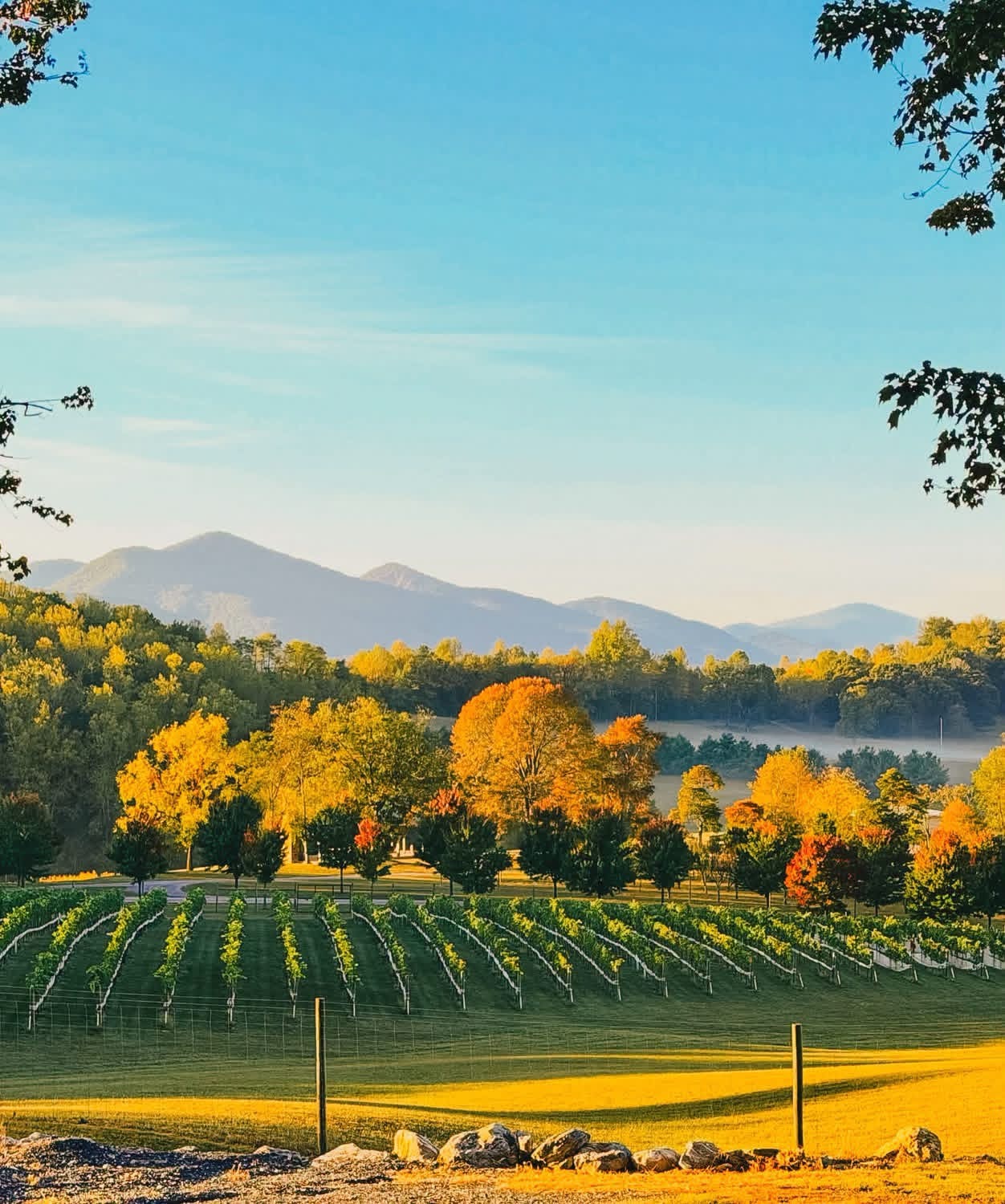 Fall Music at the Vineyard: Jason Hostetter
