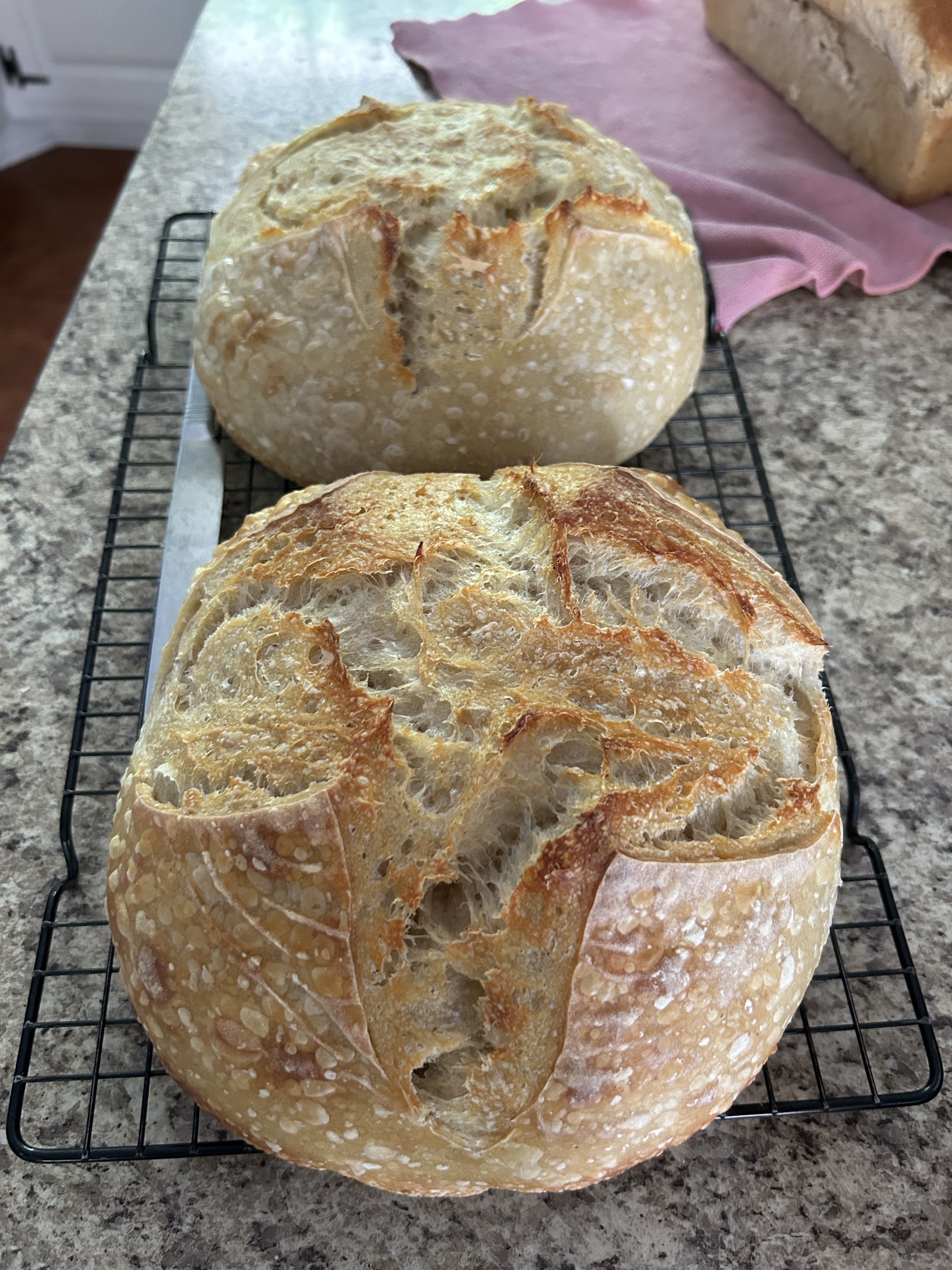 Sourdough Workshop