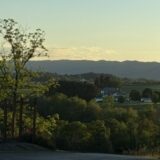 TGN views