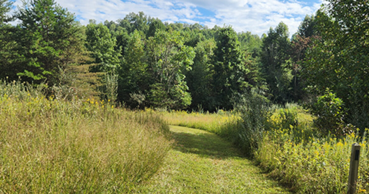 Lexington, Virginia | Blue Ridge Trail