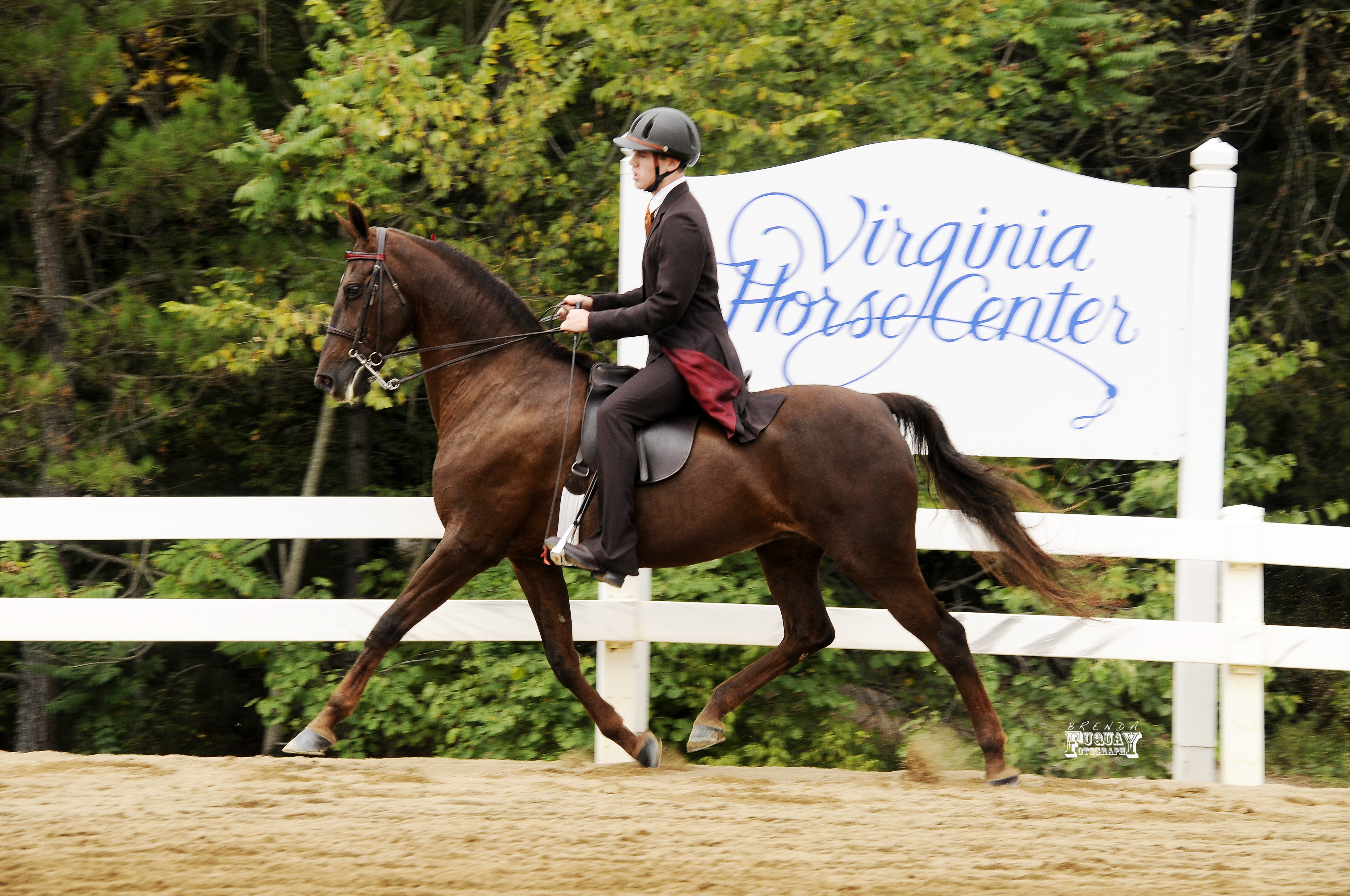 Virginia Horse Center Starter Trials