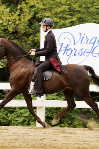 Lexington VA Virginia Horse Center