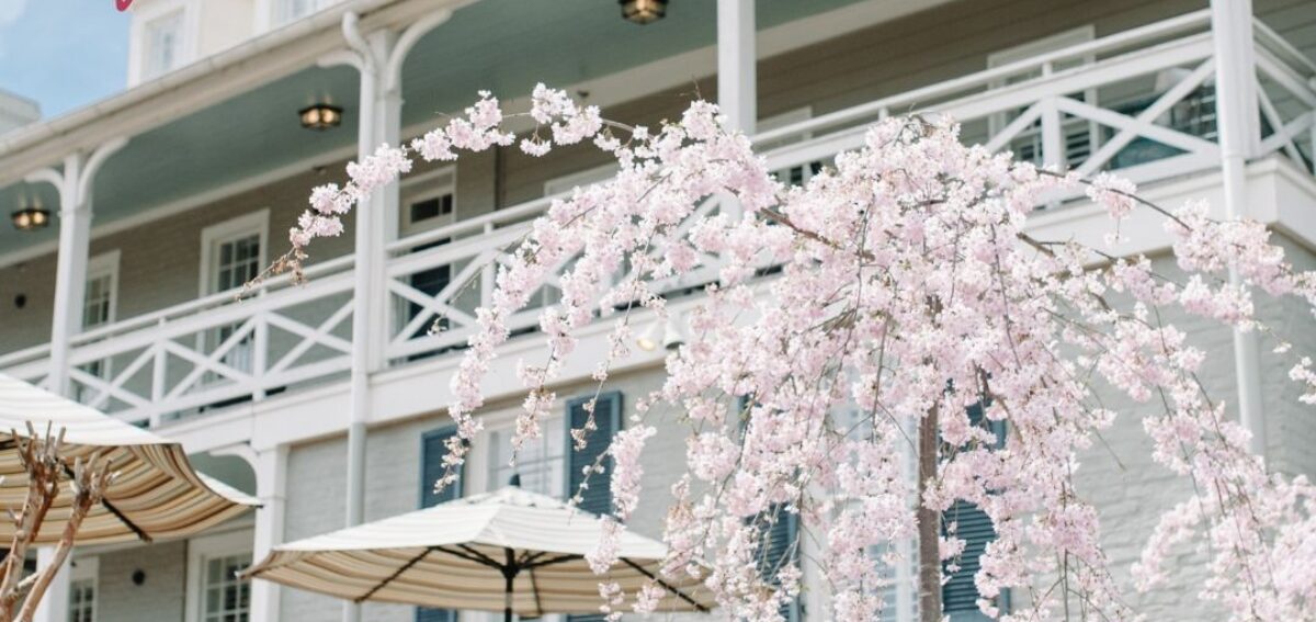 May Getaways The Georges