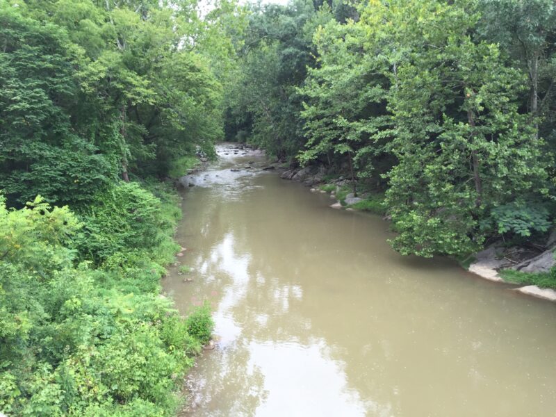 Buffalo Creek Fishing