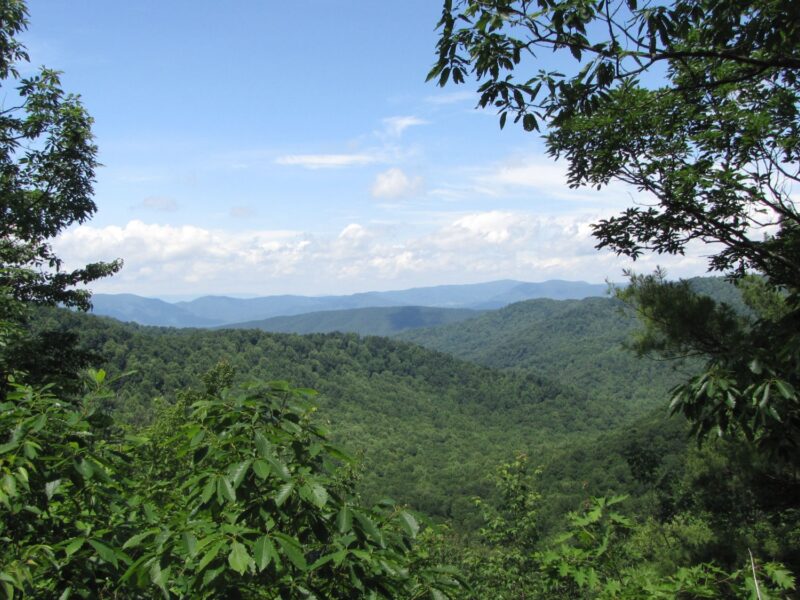 Apple Orchard Falls Hike