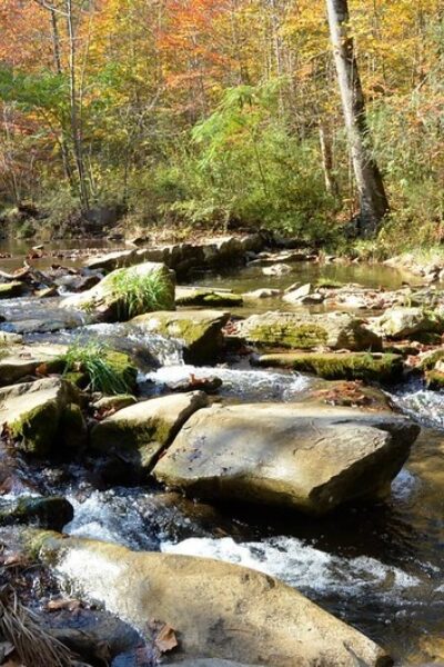 These Rocks Tell a Story