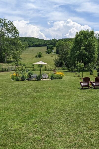 Apple Tree Grafting Classes at Wilbourn House Orchard