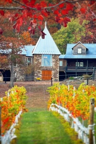 Sunset Fridays at the Vineyard: Pizza & Vino