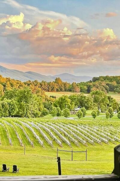 Live Music at the Vineyard: Jason Hostetter