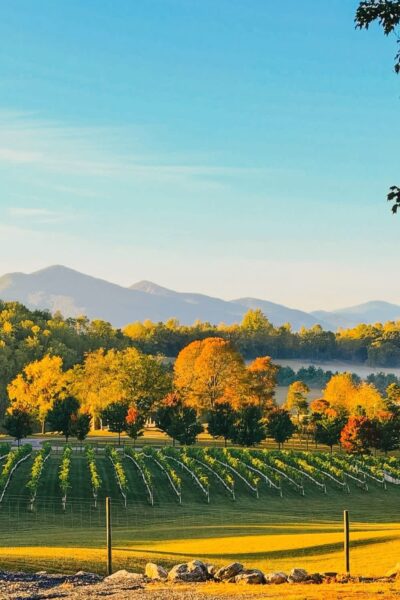 Fall Music at the Vineyard: Jason Hostetter