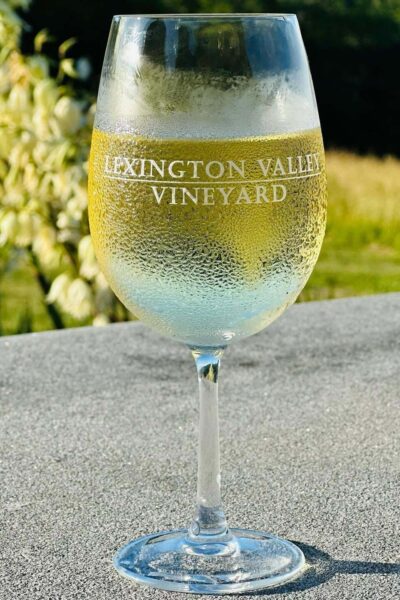 Lexington Valley Vineyard Celebrates VA250