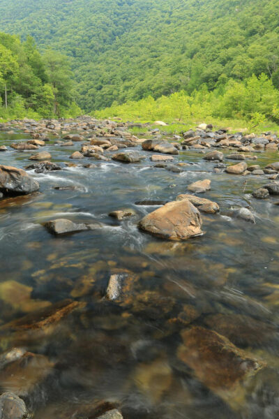 Guided Nature Hike at Uncas Trail