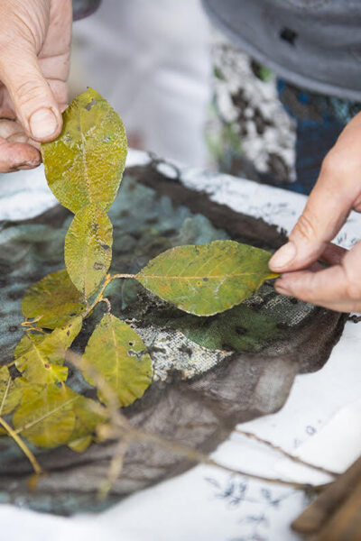 Botanical Printing Workshop