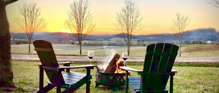 Ecco Adesso Vineyards