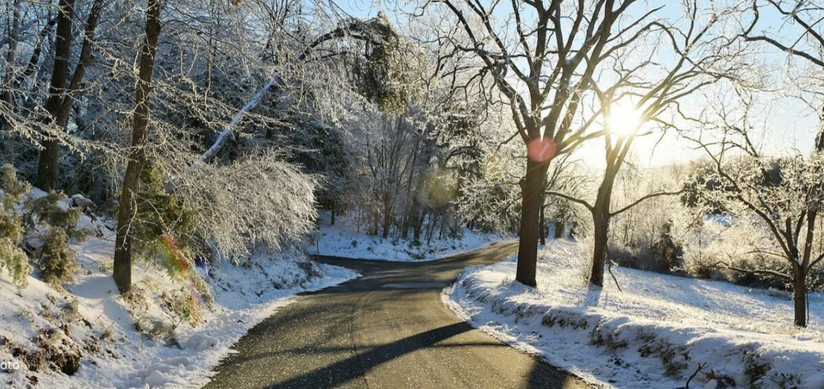 Kelly Nye Photo Winter Backroad