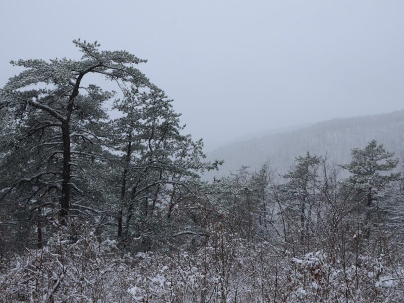 Lexington VA, Blue Ridge Parkway