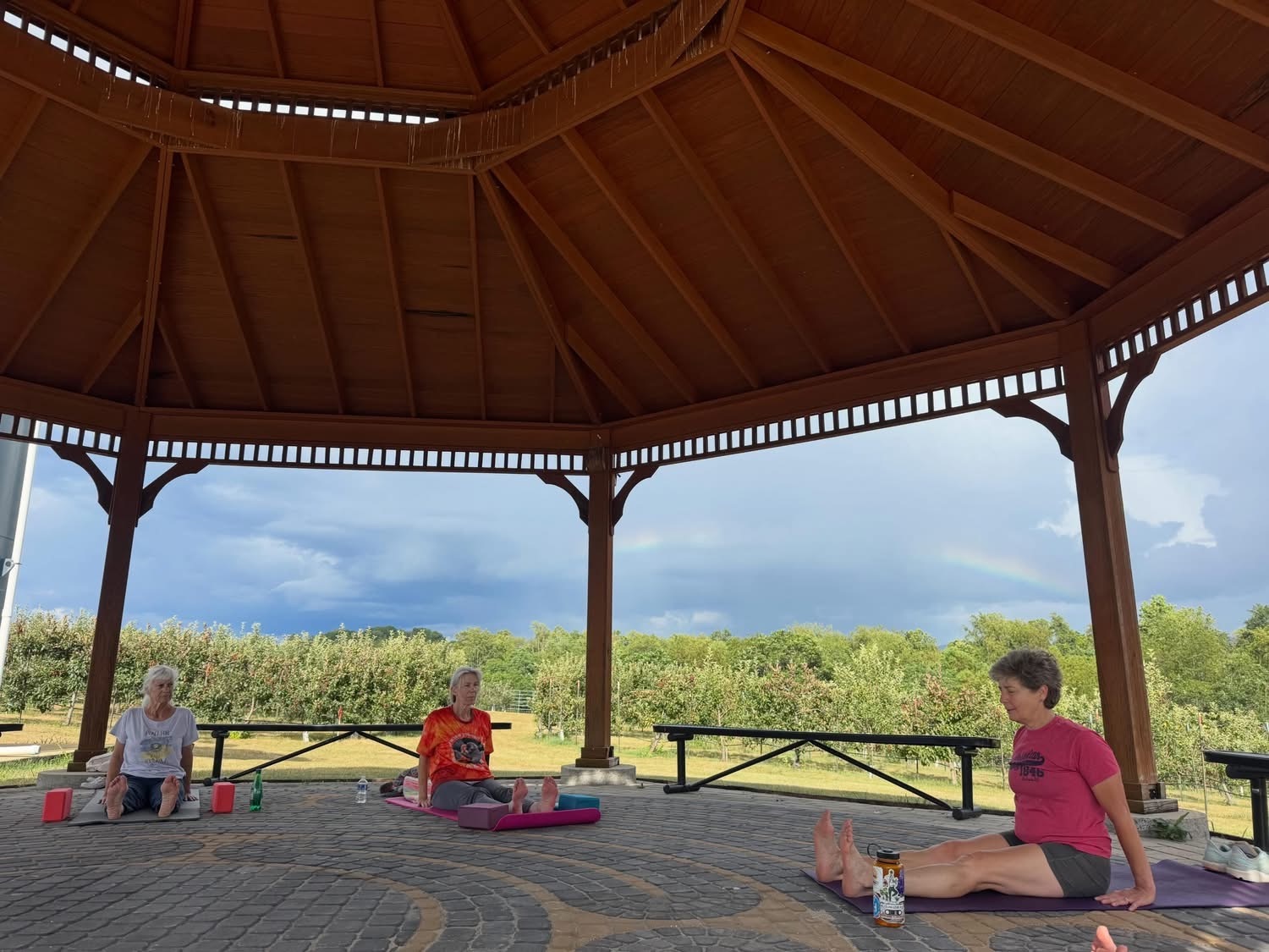 Yoga in the Orchard