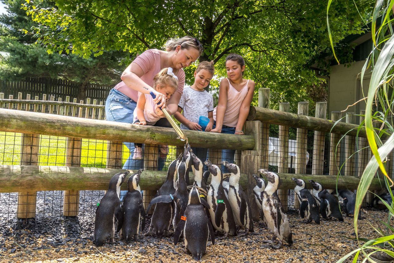 Virginia Safari Park