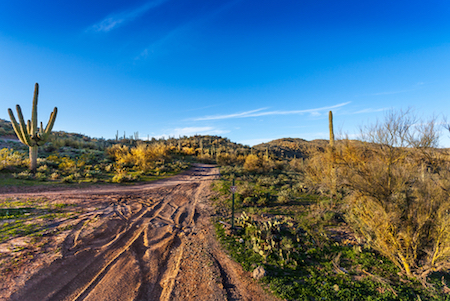 Black Canyon Trail in the Bradshaw Mountains, Arizona