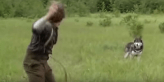 Man shooing away dog