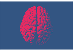 Marijuana Millionaire Playbook