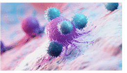 cells