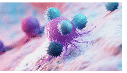 cells