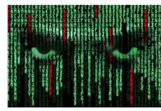 Numbers and face