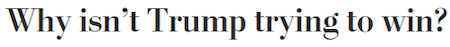 trump image