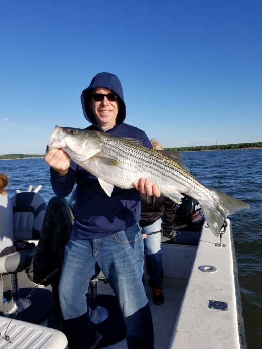 Lake Texoma striper fishing is really going strong, with the water