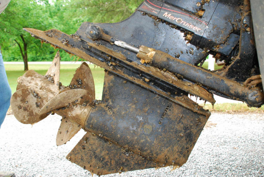 Hello Zebra Mussels. Goodbye Texas Lakes.
